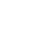 daisy-white